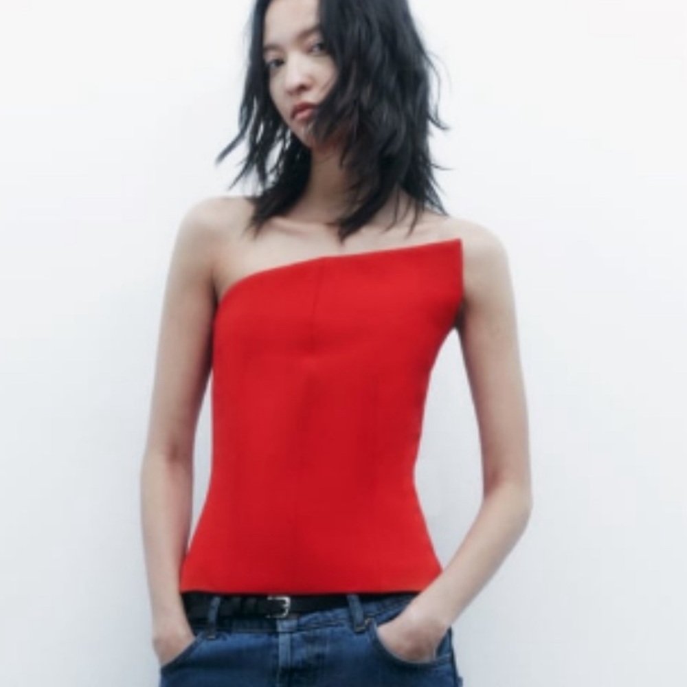 Zara Viral Corset Top NWT